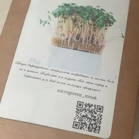 Набор для выращивания микрозелени дома